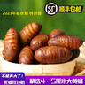 天福号酱香猪头脸肉200g 酱卤熟食腊味 即食下酒凉菜 贴秋膘中华老字号 实拍图