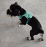 拉夫威尔ruffwear嗨轻狗狗胸背带狗背带中小型犬雪纳瑞背带式狗狗牵引绳 鼠尾草绿/雾森绿 XXXS 实拍图