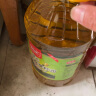 长康 食用油菜籽油4L 植物油物理压榨一级正宗湖南老字号 实拍图