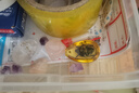 宝藏哆哆恐龙咋没的挖宝玩具无尘肥皂泥盲盒考古挖掘生日六一儿童节礼物 PLUS金装版-火山琥珀+赠送展示框 实拍图