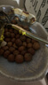长白山青松邑 东北山榛子 新货原味500g 薄皮长白山特产 休闲零食 大颗粒  净重1斤 实拍图