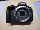 佳能 Canon EOS R RP R50 R6 R3 R5C R10 R7 R8 R6二代 R6三代 全画幅二手微单相机 直播相机 佳能EOS R50黑色 单机身 99成新 实拍图