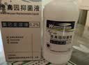 维真园 0.2%氯己定含漱液洗必泰漱口水去除口气臭儿童抑菌溶液 实拍图