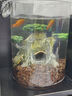 茨格曼圆柱形鱼缸一体缸办公桌面养鱼缸迷你小型玻璃钢乌龟缸家用金鱼缸 透明 直径15*高20CM 实拍图