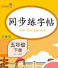 小学同步练字帖五年级下册 小学五年级下册语文同步练字帖专项训练书写字帖看拼音写汉字词语生字注音控笔训练字贴 学生规范字体 乐学熊 实拍图