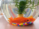 鱼缸水族天然鹅卵石彩色石子 底部造景砂石底砂盆栽铺面石头 五彩石【100g】1袋 实拍图