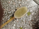 素娘长柄猪毛鬃身体刷干刷猪鬓毛酸刷软毛浴刷搓澡搓背洗澡沐浴刷 【榉木长弯柄】防水浴刷-猪鬃 实拍图