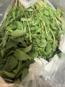 荆芥菜新鲜河南大叶荆芥叶菜调味凉拌菜茎芥鲜嫩现挖现发带根 新鲜现挖荆芥  【 2斤】 实拍图