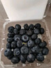 田良季云南蓝莓【JD/顺丰多地次日达】超大果花香蓝莓新鲜水果送礼 精选果【单果15mm+ 】 【100g-125g】*4盒【较划算】 实拍图