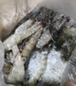 混元兽虾类罗氏虾大头虾 3斤沼虾国产淡水虾特大超大活冻海鲜 大号 罗氏虾 3斤(净重)  15-20只/斤 实拍图