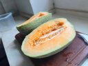 春福乐正宗海南哈密瓜 薄皮晓蜜25号密瓜甜脆自然成熟现摘现发整箱 净重4.5-5斤【1-3个】 实拍图