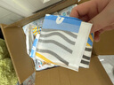 HONEYCARE好命家 狗狗纸尿裤公狗尿不湿安全裤XS适用体重2-5kg/12片12包装  实拍图