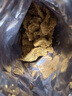 俏美味青岛特产军旺猪油渣香酥脆皮五花肉脂渣肉干肉脯网红下酒休闲零食 【香辣+烧烤】猪油渣1000g(2斤) 实拍图