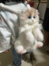 Chongker宠客mini布偶猫背包仿真玩偶公仔毛绒玩具六一儿童节女孩生日礼物 实拍图
