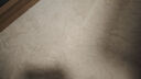 得喜（DeXi）卧室地毯客厅高级感轻奢大面积可机洗奶油风地毯沙发140x200cm 实拍图