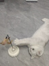 憨憨乐园猫玩具猫咪丰容玩具自嗨解闷神器小猫逗猫迷宫盒子掏掏乐掏洞用品 实拍图