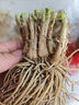 寿禾 韭菜根苗多茬蔬菜苗 稀植移栽四季韭菜根100棵带肥源头直发包邮 实拍图