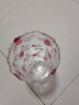 弗莱文茨田园风玻璃花瓶玫瑰水培水养插花瓶家用客厅桌面装饰摆件个性花瓶 玫瑰花瓶24cm（粉色） 实拍图