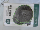 北蔬 向日葵种子种苗可食用大头大颗粒葵花籽 北蔬食用向日葵种子50粒 实拍图