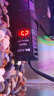 SUNSUN森森鱼缸石英加热棒 适用20-40L 恒温加热器 离水断电 100W 晒单实拍图