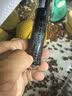 淘歌 TG 鱼缸加热棒防爆玻璃款50W 自动恒温精准温控 水族箱加热器 实拍图