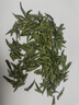 贡苑2025新茶 头采特级雀舌明前绿茶60g*2盒茶叶礼盒装送长辈自己喝 实拍图