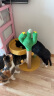 喵仙儿猫爬架一体猫窝多层跳台剑麻猫抓柱猫抓板小型不掉屑仙人掌猫玩具 实拍图