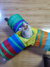 瓜洲牧逗猫棒猫玩具自嗨解闷神器猫隧道小猫咪迷宫通道幼猫宠物用品大全 彩虹Y隧道25（带球） 实拍图