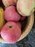 青怡云南昭通红露苹果冰糖心当季早熟脆甜应季水果产地直发 1.5斤【60mm】 实拍图