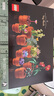 乐高（LEGO）积木玩具 花植系列10329迷你盆栽模型 18岁+生日礼物圣诞礼物 实拍图