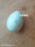 生咸鸭蛋新鲜鸭蛋咸蛋黄散养麻鸭红泥腌制红心流油生鲜烤鸭蛋咸蛋 生咸鸭蛋50-60g*10枚 实拍图