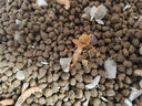 猫掌柜冻干多拼猫粮高蛋白高营养美英短布偶加菲猫全猫期通用主粮 【40%冻干添加】肉松冻干巨无霸 5斤袋装【送补水猫条5支】 实拍图