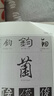 少林正宗易筋经 实拍图