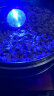 山拓（SHANTUO）大功率头灯进口LED灯珠强光户外远射一体头戴式夜钓鱼探照矿灯 3051/9400W蓝光标配 实拍图