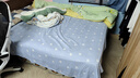网易严选欧式乳胶独袋弹簧床垫 席梦思床垫爱奥尼标配版1.5*2米  软硬适中 实拍图