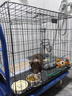 华美龙 狗笼子小型犬中型犬带厕所泰迪柯基比熊柴犬宠物狗窝室内狗围栏 【免安装】85*60*70（45斤内） 实拍图