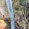 九千谷鱼虾网笼 捕鱼网网鱼神器加厚可折叠龙虾泥鳅捕鱼网 16孔1472 实拍图
