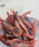 亚又婧北极甜虾刺身俄罗斯冰山蓝盒甜虾冰冻虾北极甜虾生吃即食刺身海鲜 2L:51-57只 1000g(净重) 实拍图