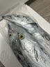 七条船舟山带鱼新鲜冷冻整条小眼带鱼刀鱼海鲜水产野生海钓带鱼大号油带 3斤——中带（5条装） 实拍图