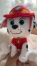 汪汪队立大功（PAW PATROL）汪汪队玩具毛绒全套狗狗玩偶公仔男女孩玩具旺旺队六一儿童节礼物 经典款-毛毛公仔【需选尺寸】 中号-坐高22.9CM 实拍图
