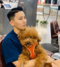 OF啫喱膏古龙香水味高端定型保湿男士强力发胶发蜡发油头发背头神器 金刚啫喱90ml*2瓶+油头梳 实拍图