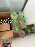 屈臣氏（Watsons）蒸馏水纯净水大桶水蒸馏水家庭装泡茶煲汤6L*4桶 整箱装 实拍图