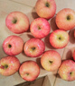 京鲜生 新疆阿克苏苹果  净重5斤 果径80-85mm 新鲜水果 实拍图