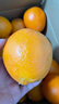 赣南脐橙橙子赣南脐橙正宗江西赣州直发早橙时令水果礼盒手剥橙新鲜水果 2斤[单果65mm约6-8个]尝鲜装 实拍图
