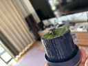 酷虫【德国品牌】果蔬榨汁机小型便携式榨汁杯家用大容量榨汁桶水果榨汁机吨吨杯自动运动果汁机果汁杯 超能饮【两个800毫升】下单备注颜色 实拍图