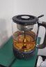 小熊（Bear）养生壶 1.2L大容量煮茶器煮茶壶 复古式木纹手柄喷淋蒸茶壶泡茶壶 煮茶烧水一体 ZCQ-D12Z3 实拍图