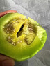 农果传橙东北绿宝甜瓜 绿宝石香瓜当季时令甜脆瓜孕妇水果可选礼盒送礼 8斤装【精美礼盒 净重7.5斤】 实拍图