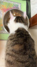 好主人（CARE）金装好主人猫粮2.0 成猫幼猫蓝猫英短通用全价无谷冻干 【成幼通用】冻干猫粮3.2斤 实拍图