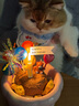 布丁喵喵 宠物生日围兜帽子 蓝色【赠生日蜡烛】狗狗猫咪生日派对装饰拍照 实拍图