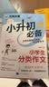 小升初必备 小学生分类作文/为小升初考生量身打造的作文备考书 真题实例 范文优秀 开学季 实拍图
